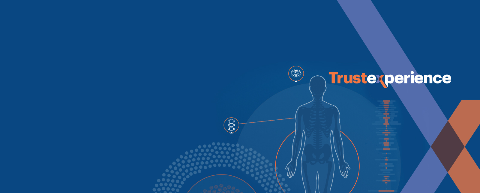 trust-x graphic